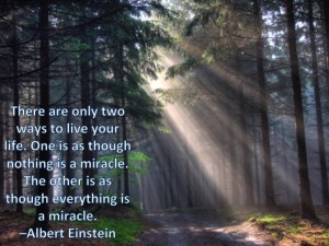 Einstein Quote